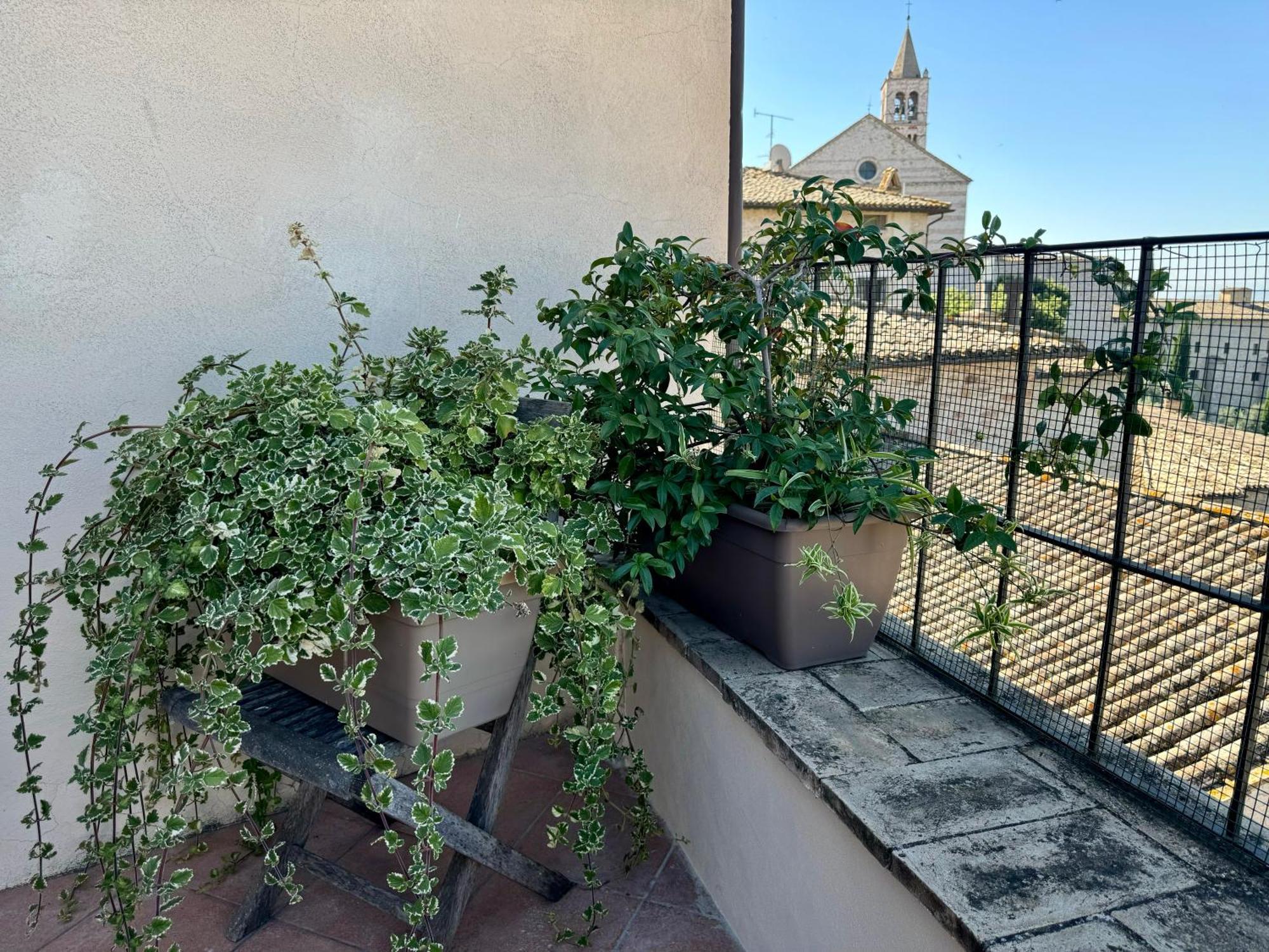 La Zuppa Inglese Assisi Exterior foto